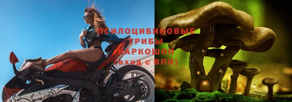 apvp Абаза