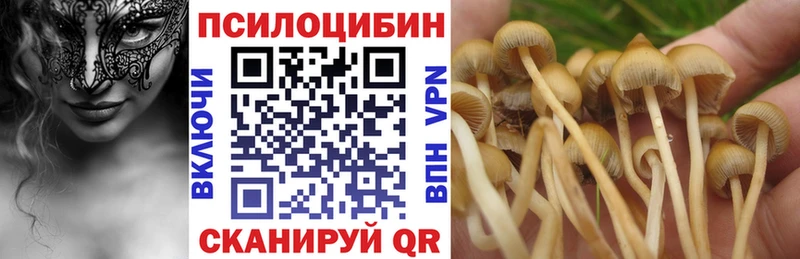 мега ONION  Яблоновский  Псилоцибиновые грибы MAGIC MUSHROOMS  где продают  